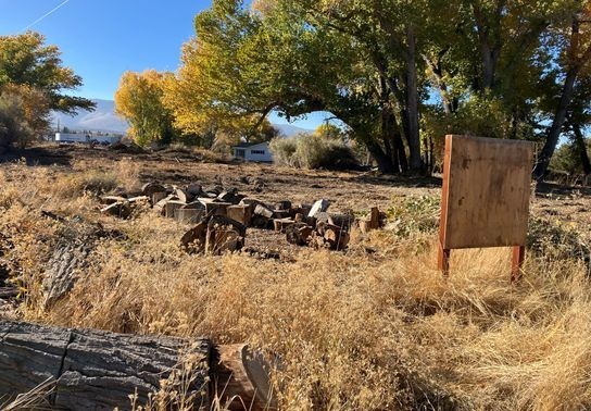 Image for story: City enforcement ensures safety by clearing potential fire threat in south Reno